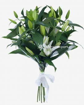 Bouquet of 7 Lilies